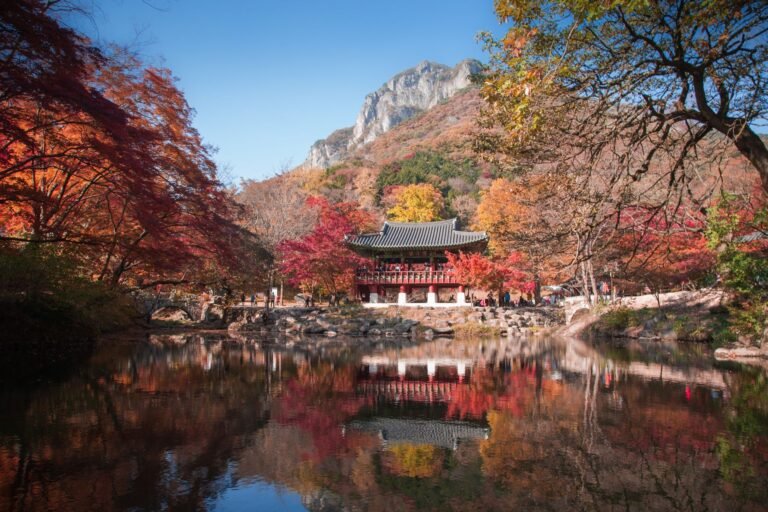 Stunning autumn scenery with Korean pavilion and vibrant foliage.